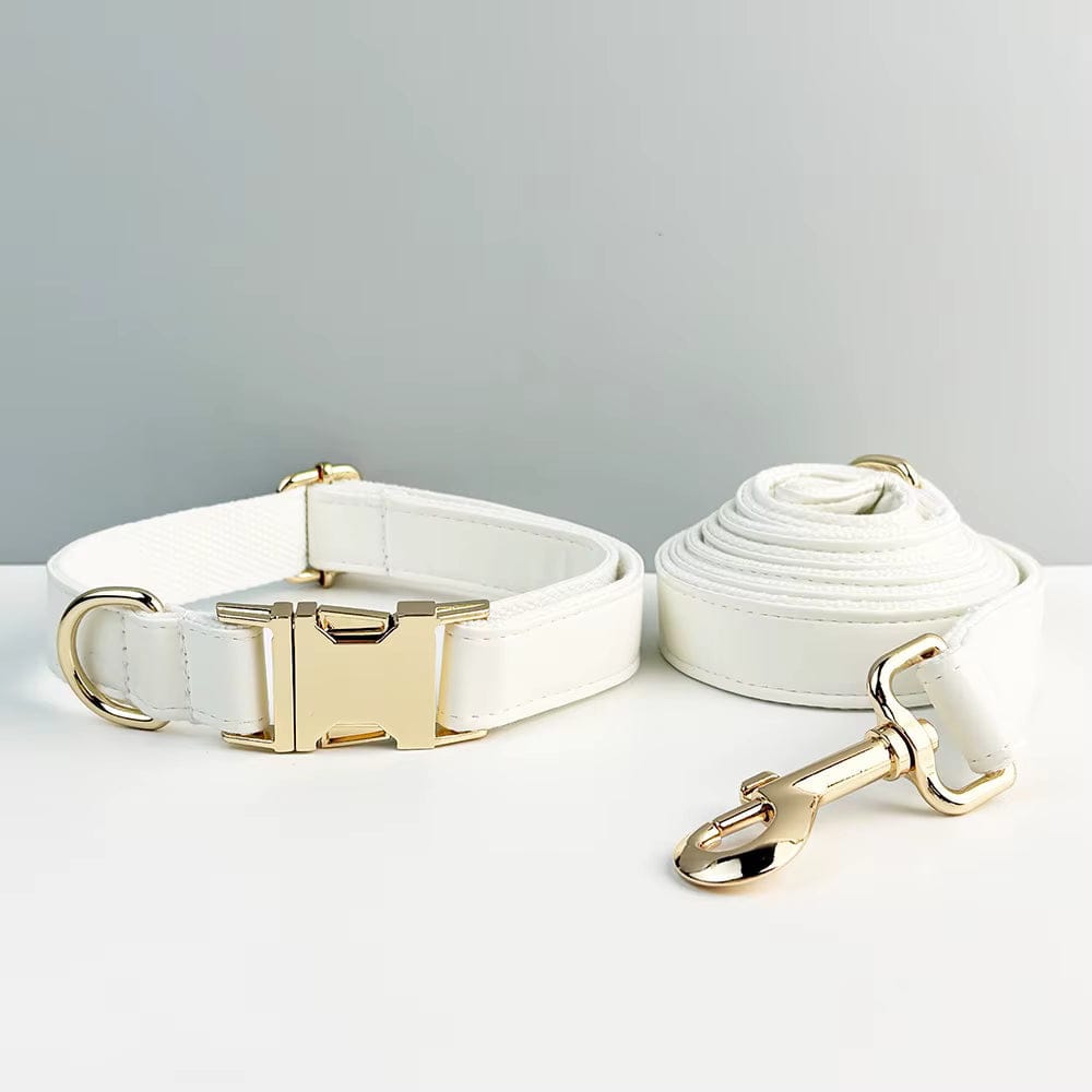 D&D Paws  Collar + Leash / XS White Leather Set