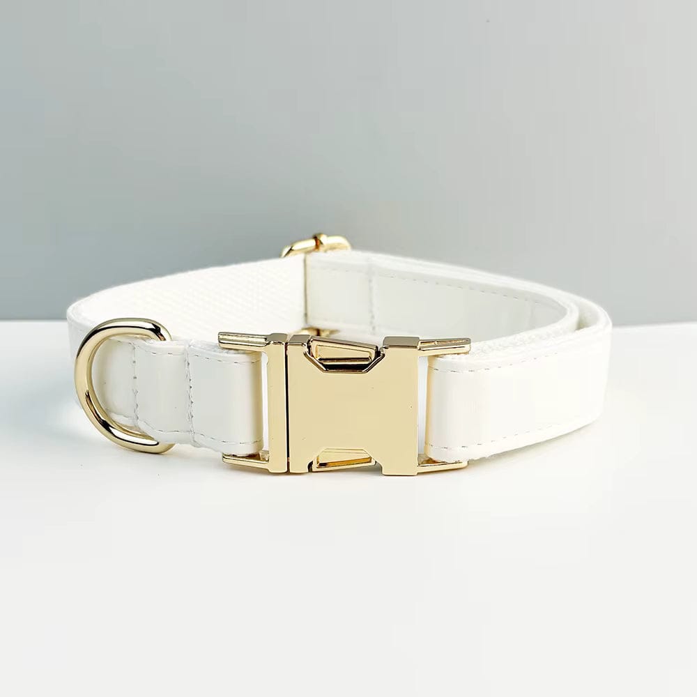 D&D Paws  Collar / XS White Leather Set