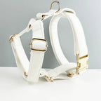 D&D Paws  Harness / XS White Leather Set