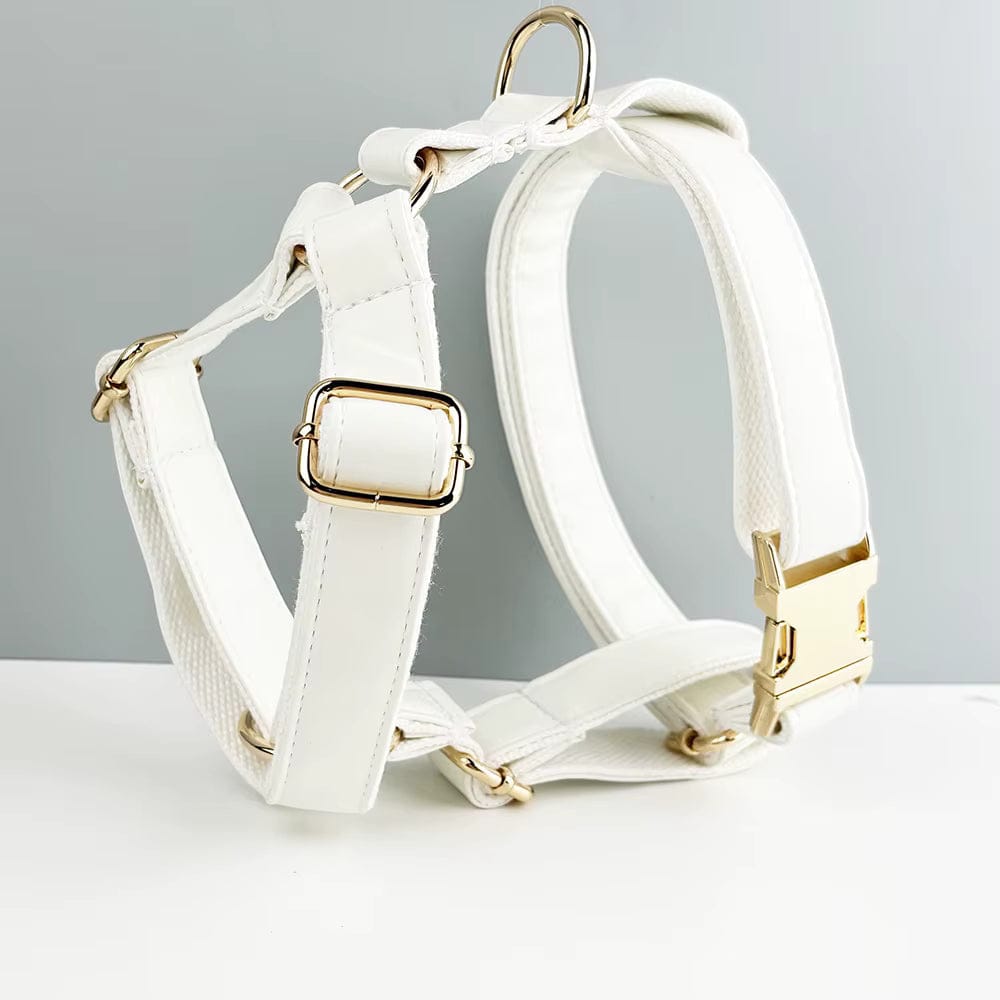 D&D Paws  Harness / XS White Leather Set