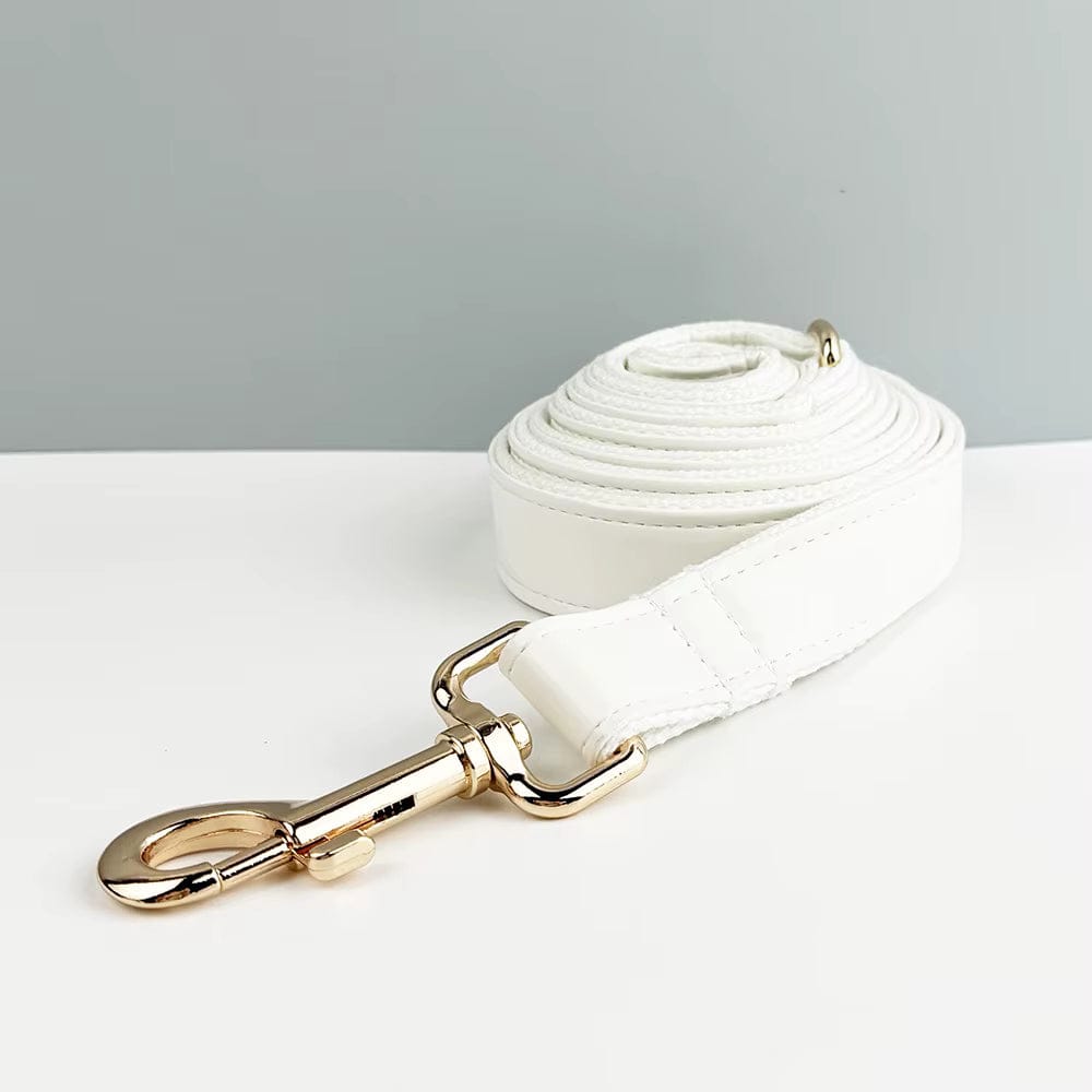 D&D Paws  Leash / XS White Leather Set