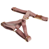 Harness