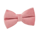 Bowtie