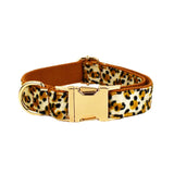Collar