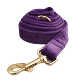 Leash