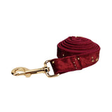 Leash