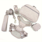 DDPaws  Grey / S Personalized Light Weight Dog Walking Set