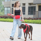 DDPaws  Personalized Light Weight Dog Walking Set