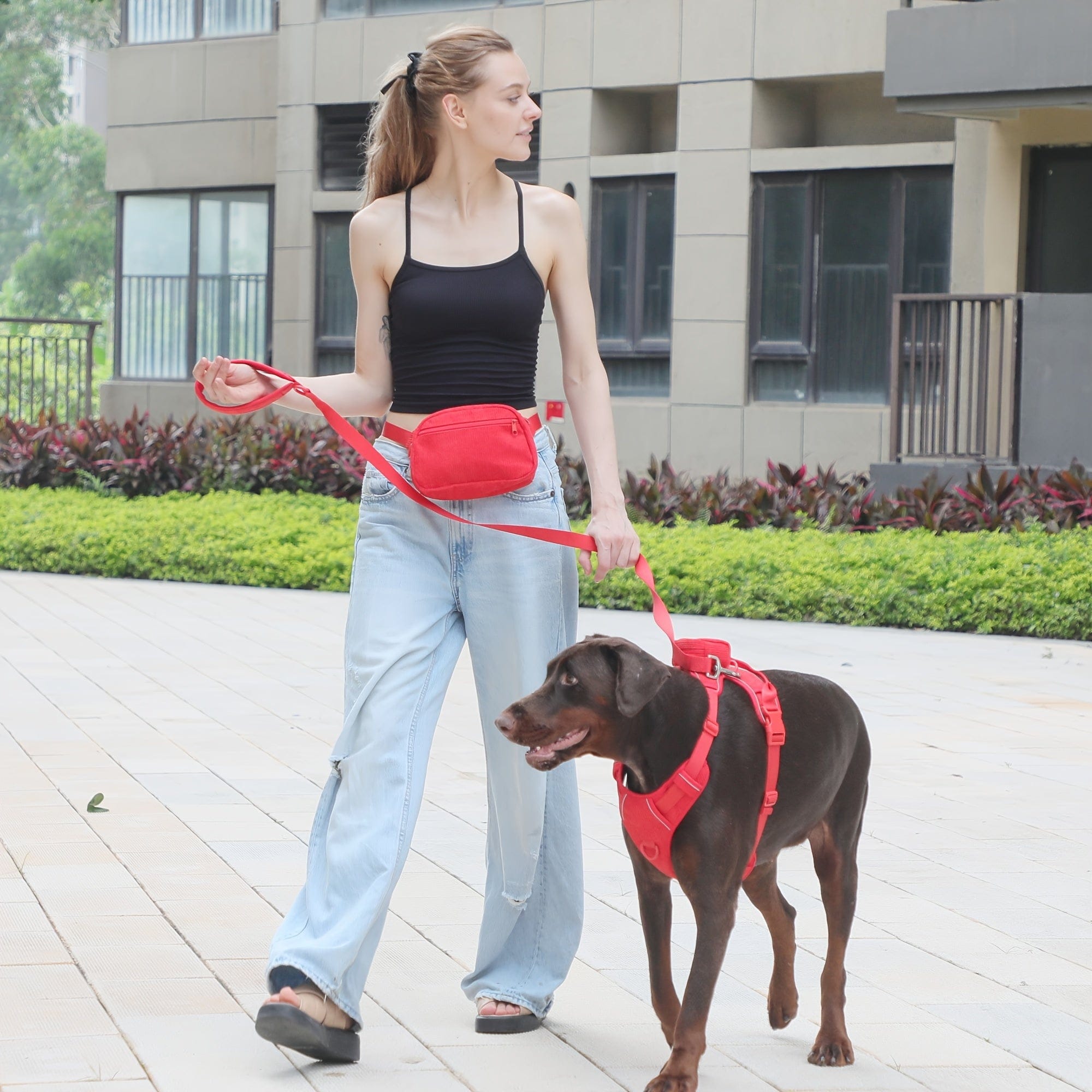 DDPaws  Personalized Light Weight Dog Walking Set