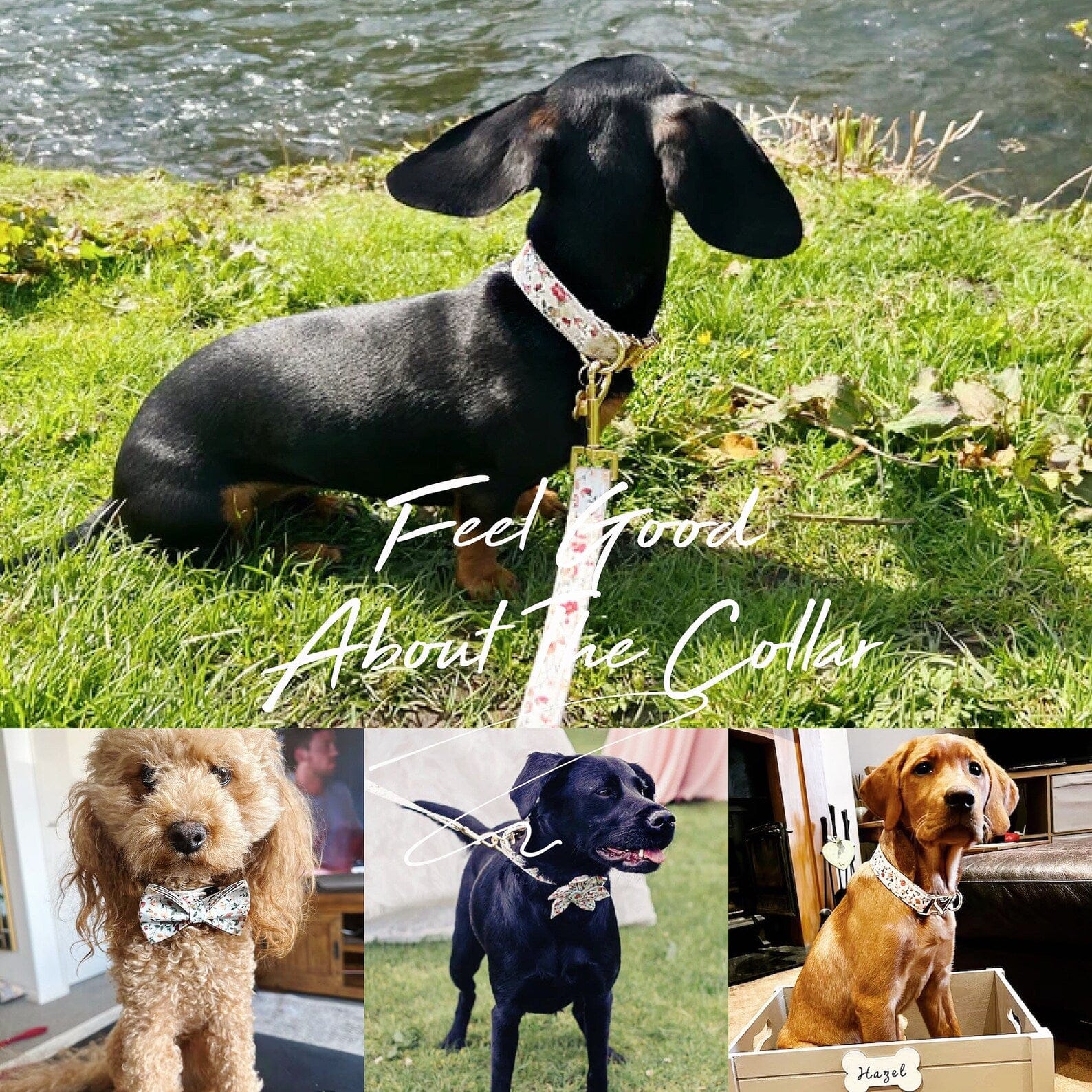 Soft Ivory Blossom Floral Set