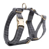 Harness