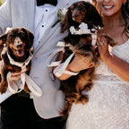 Milky White Velvet Set