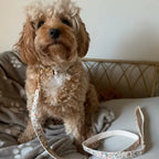 Soft Ivory Blossom Floral Set