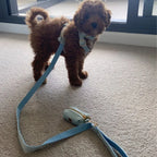 Light Blue Velvet Set