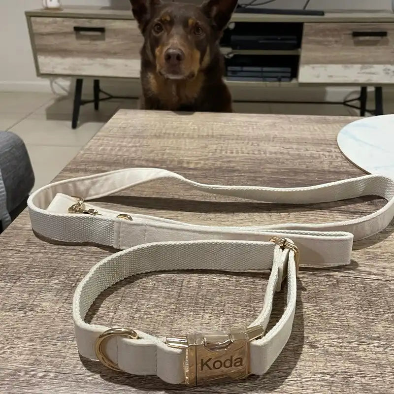 Milky White Velvet Set