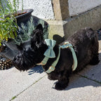 Light Green Corduroy Set