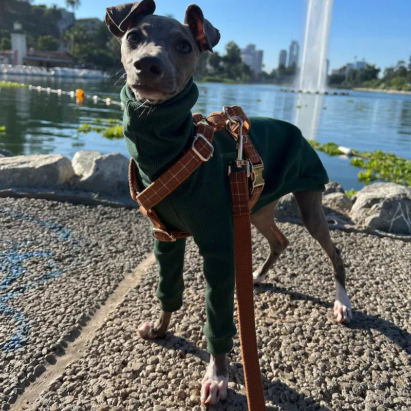Classic Brown Plaid Set