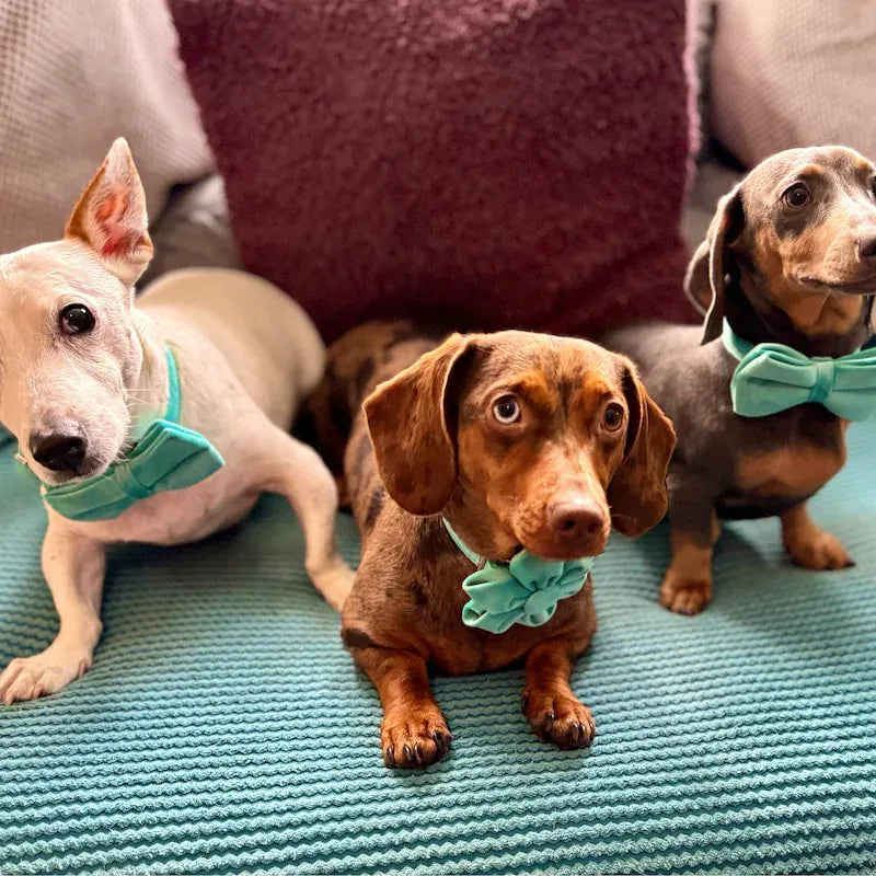 Turquoise Stone Velvet Set