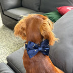 Dark Blue Velvet Set