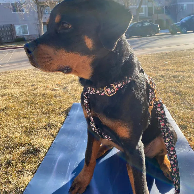 Midnight Blossom Floral Set