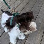 Dark Green Corduroy Set