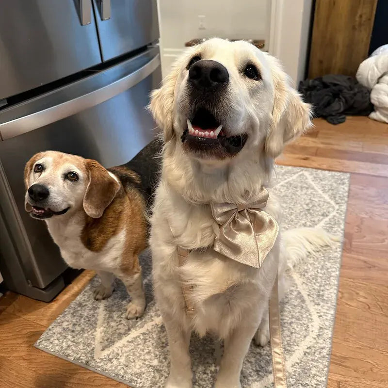 Gold Satin Wedding Set