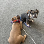 Midnight Copper Plaid Set