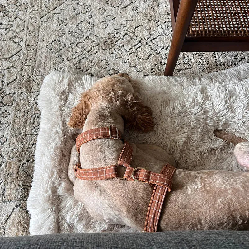 Classic Brown Plaid Set