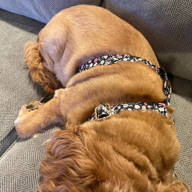 Midnight Blossom Floral Set