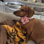 White Lace Wedding Set