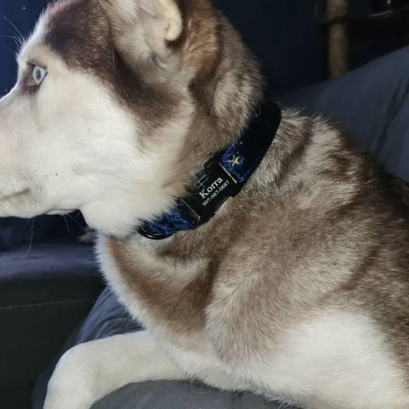 Dark Blue Velvet Set