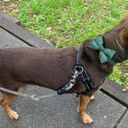 Forest Green Velvet Set