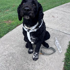 Wedding White Lace Set
