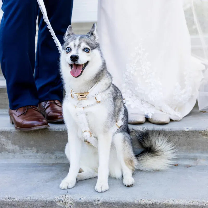Wedding White Lace Set