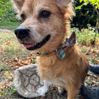 Autumn Blue Plaid Set