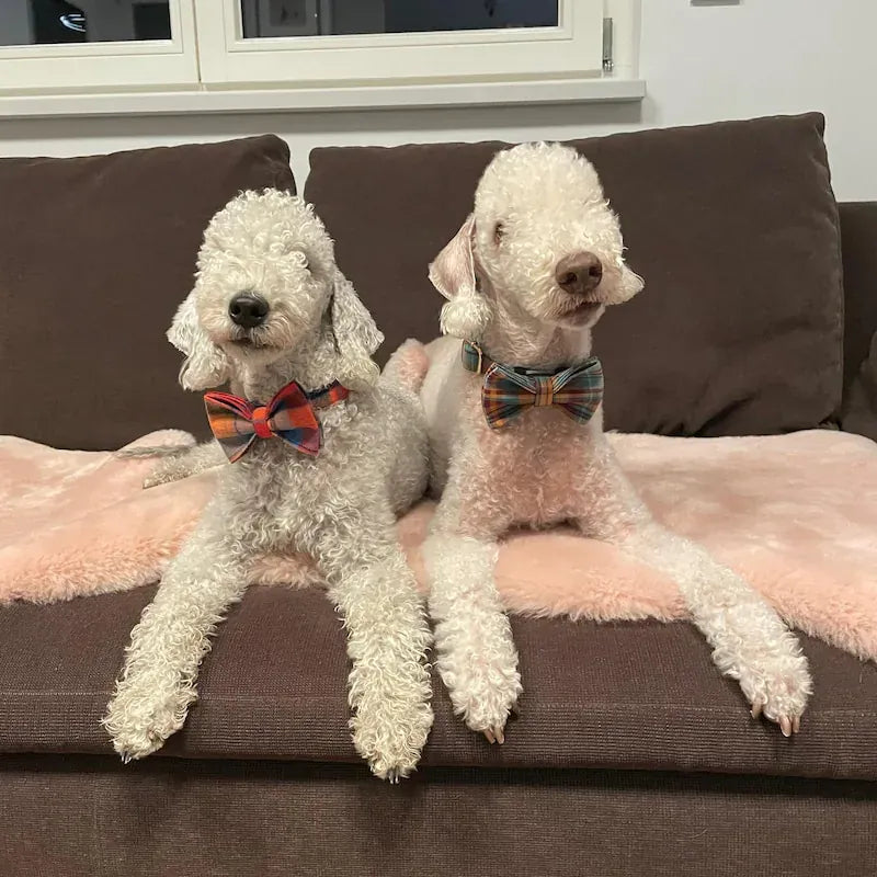 Midnight Copper Plaid Set