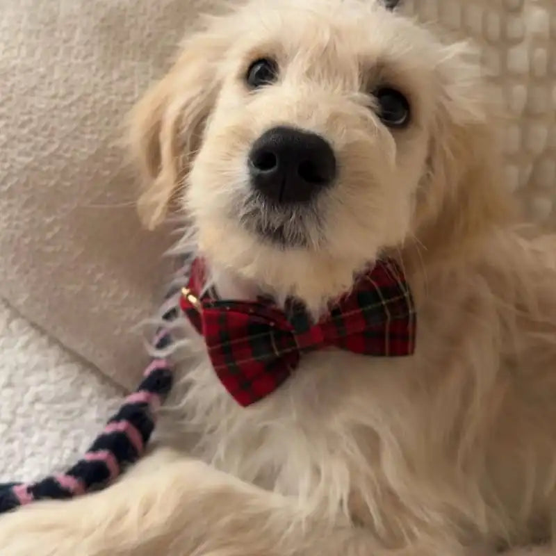 Red Tartan Christmas Set