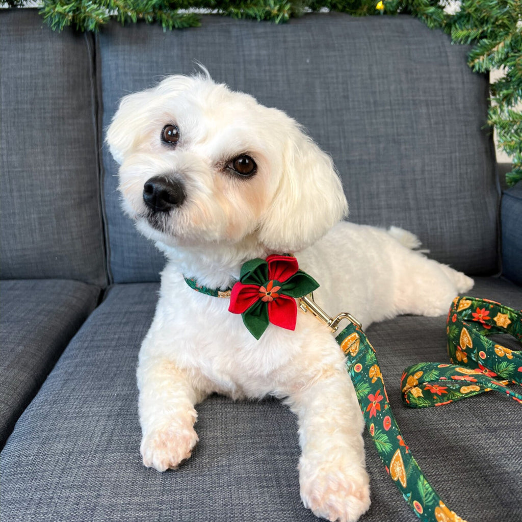 Christmas Floral Dog Collar and Leash Set