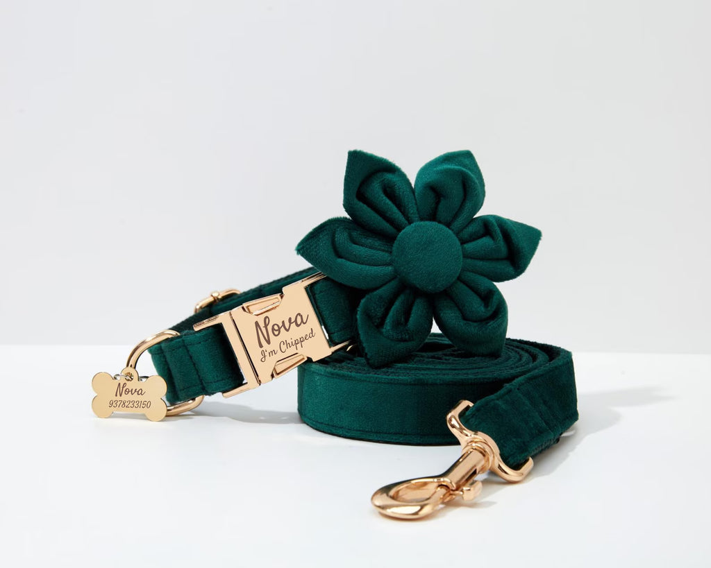 Green floral dog collar and leash set with gold hardware on a white background