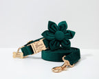 Green floral dog collar and leash set with gold hardware on a white background