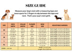 D&D Paws Designed Plaid Dog Vest Set [Made-to-Order]