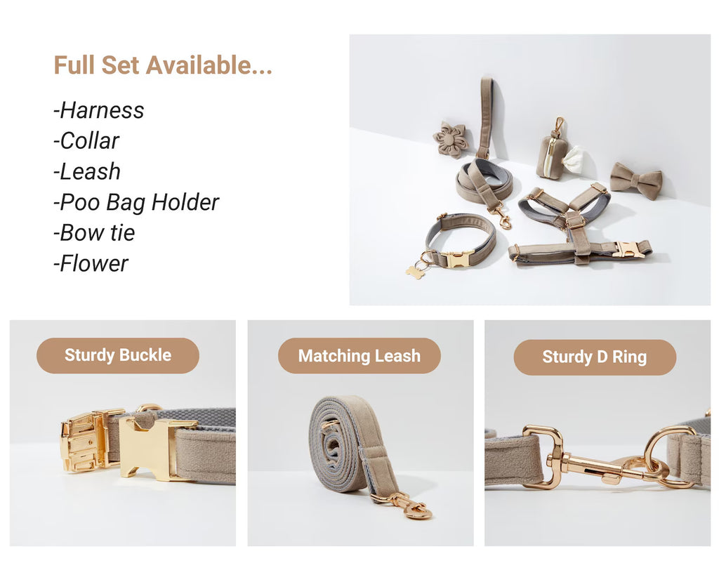 Personalized Light Grey Velvet Classic Set