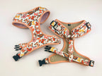 D&D Paws Designed Butterfly Dog Girly Set [Made-to-Order]