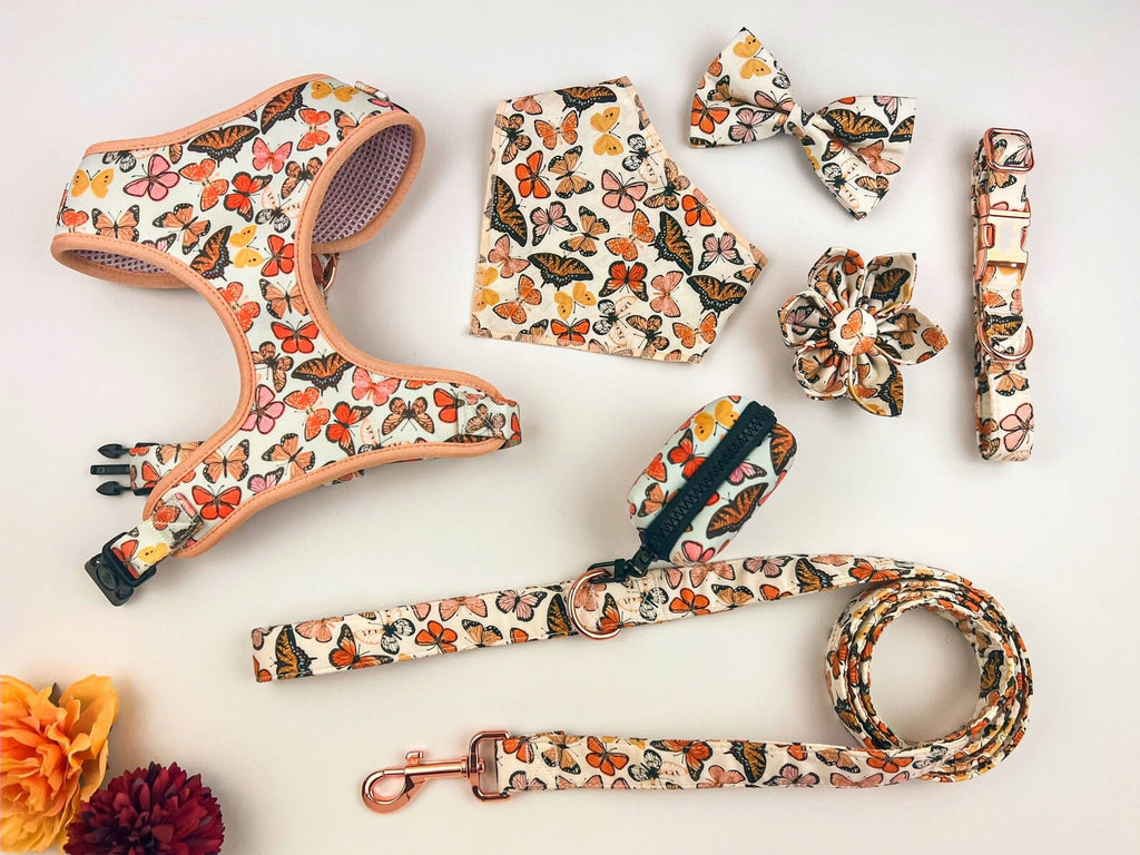 D&D Paws Collar + Harness + Leash + Bowtie + Poop Bag + Banana / XS Designed Butterfly Dog Girly Set [Made-to-Order]