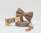 Light Grey Velvet Collar Leash Set