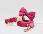 Rose Red Velvet Collar Leash Set