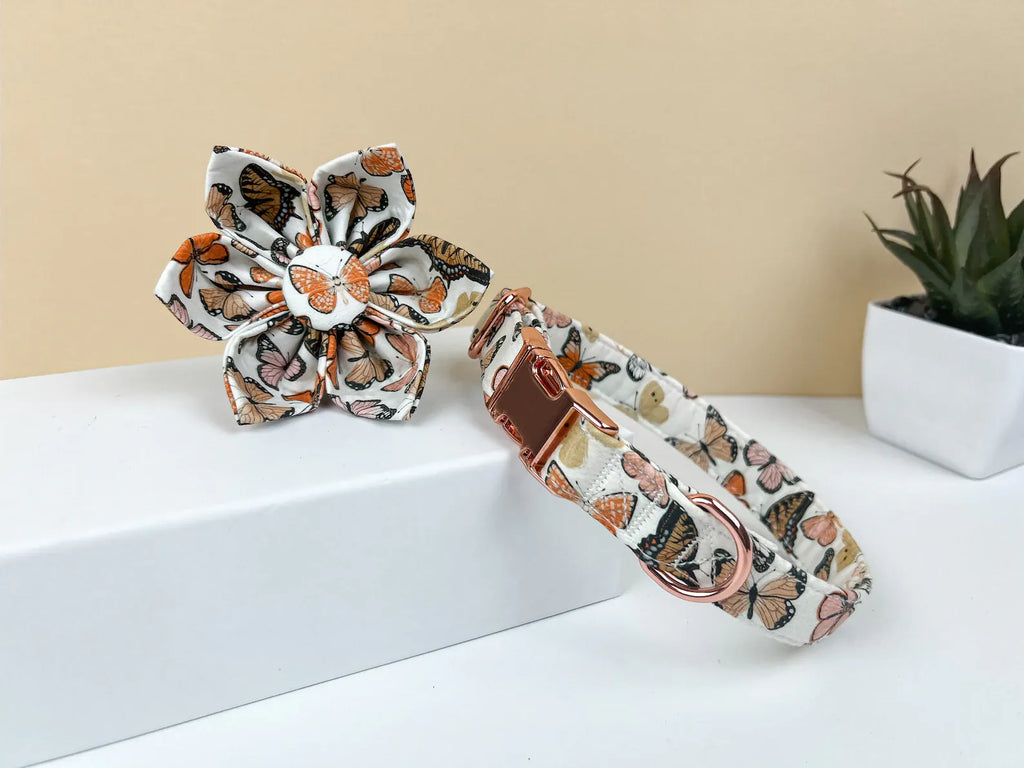D&D Paws Flower Collar / XS Designed Butterfly Dog Girly Set [Made-to-Order]