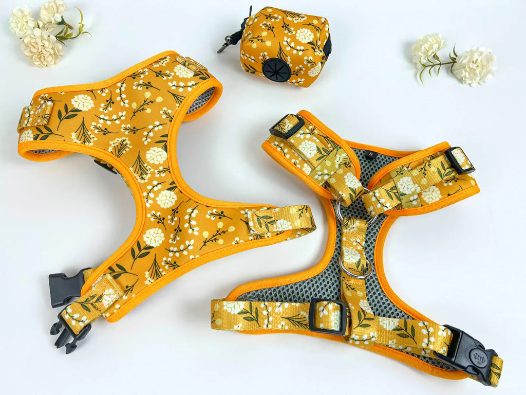 D&D Paws Designed Sunny Floral Dog Vest Set