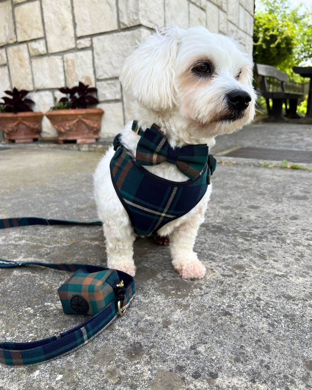 D&D Paws Designed Plaid Dog Vest Set [Made-to-Order]