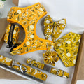 D&D Paws Designed Sunny Floral Dog Vest Set